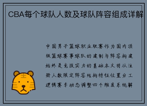 CBA每个球队人数及球队阵容组成详解